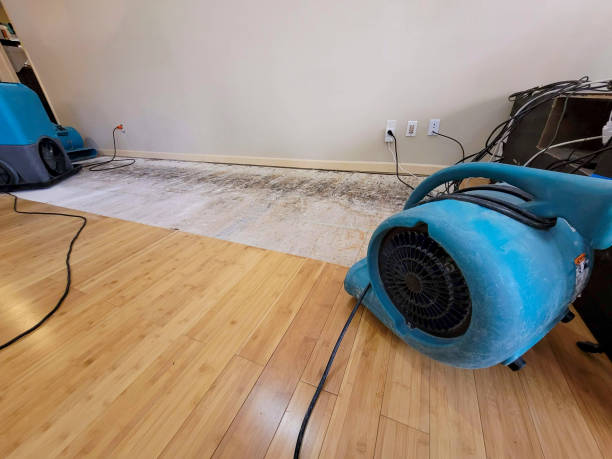 Professional Water Extraction technician working in Orangevale, CA